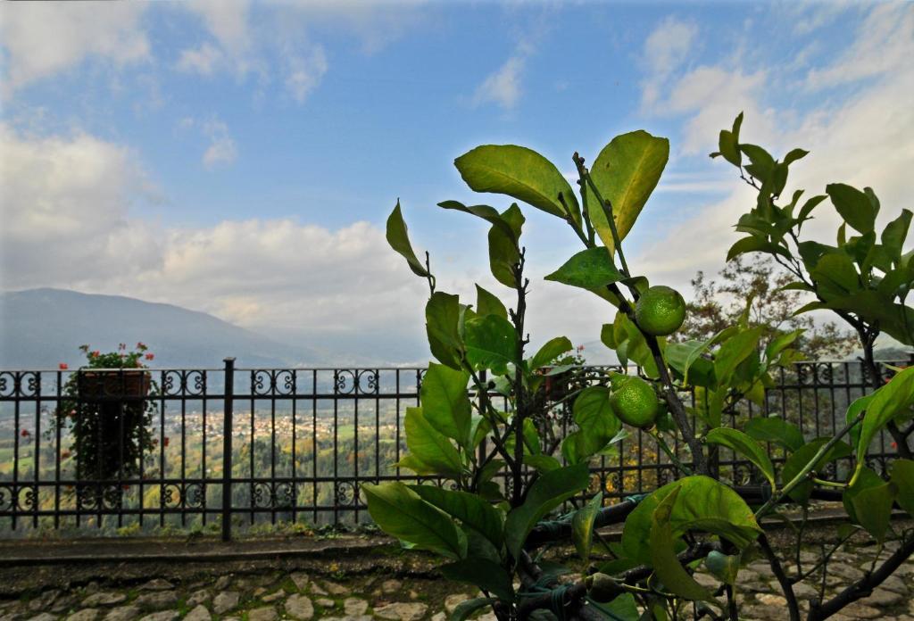 Casa Vacanze Le Muse Sillico Pieve Fosciana Exterior photo